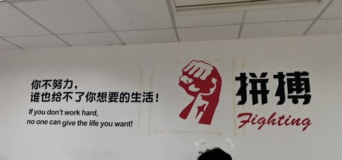 互联网药品信息服务资格证 上海与深圳的申请与管理差异解析